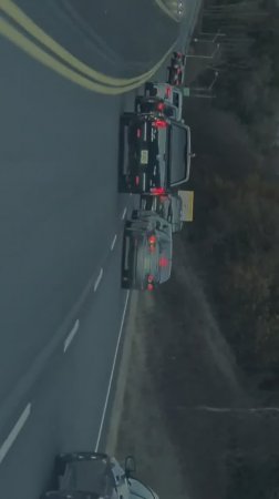 Пободались Реальные Канадские Пацаны