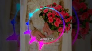Амина ахмадова мольба любви безаман дехар чеченские песни 2019. Новинка 2019.