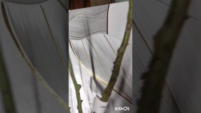 Посылка с розами 🌹 Спонтанный заказ пришел первым #розы #посылка смотреть онлайн