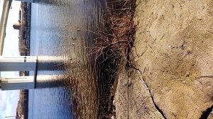 VID_20241110_102729.3gp