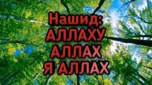 АЛЛАХУ АЛЛАХ Я АЛЛАХ ОЧЕНЬ КРАСИВЫЙ НАШИД