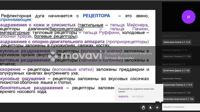 Введение в нейроанатомию. Спинной мозг. Лекция по анатомии человека