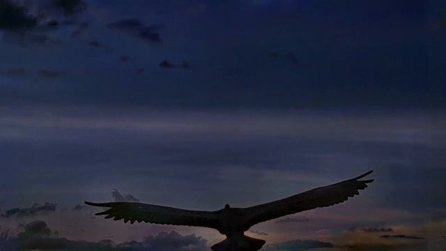 ЖАЛОБА. Геворг Эмин. Музыка Мила Адато смотреть онлайн