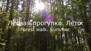 АСМР Лесная прогулка, лето. Звуки леса | ASMR Forest walk. Summer | Forest sounds