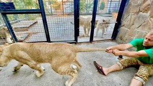 НАКОНЕЦ-ТО! Мы пришли к ЗОЛОТОМУ ПРАЙДУ и ШерХан с Симбой чуть не свалили нас с ног!