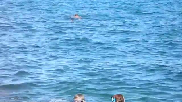 КРЫМ.СЕВАСТОПОЛЬ.БУХТА ОМЕГА. CRIMEA.SEVASTOPOL.OMEGA BAY. La guerra de CRIMEA.SEBASTOPOL.