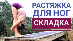 Пашчимоттанасана — растяжка ног за 15 минут. Упражнение Складка. Йога chilelavida Елена Малова