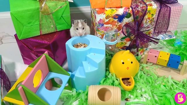 РАСПАКОВАЛИ ЦЕЛЫЙ ГОРОДОК** ХОМЯЧКИ ТЕСТЯТ НОВУЮ ИГРОТЕКУ смотреть онлайн