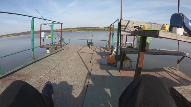 Карп чуть спиннинг не утащил! Нужно ли делать закорм места ловли_ смотреть онлайн