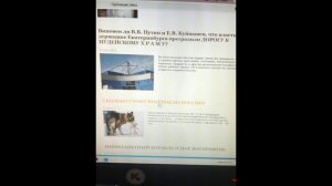 Двойные стандарты. Маскировка Добром?(2).mp4