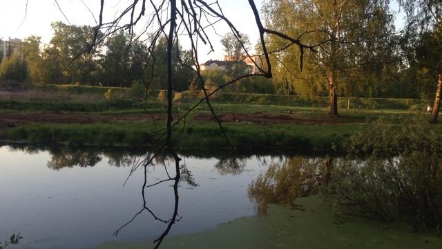 Как местные власти отжали школьный стадион у школы смотреть онлайн