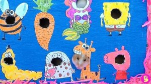 ЧЕЛЛЕНДЖ КОМНАТА СМЕХА ДЛЯ ХОМЯЧКОВ