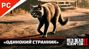 Одинокий странник «Бродячий Кот»｜RDR 2 на ПК [4K] (Red Dead Redemption 2)