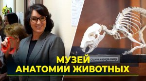 Обновлённый анатомический музей открыли в ГАУ Северного Зауралья в Тюмени