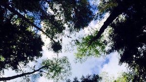 Владимир Пресняков (мл.) Любовь на Video (by ARSHEGOR)