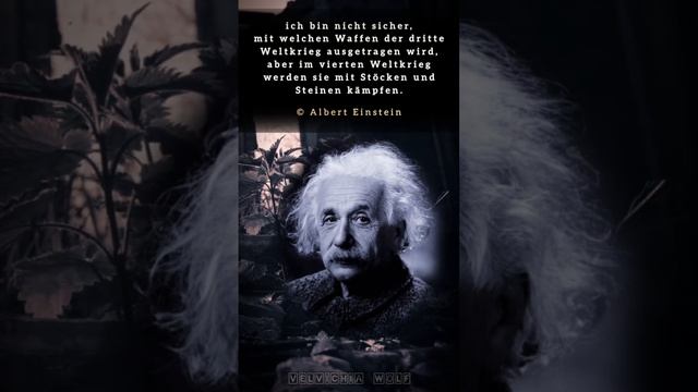 Albert Einstein | zitate und sprüche #shorts #zitate #sprüche