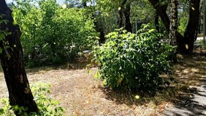 Жена заявила мужу: Я больше не буду обслуживать твоих родственников. Я им не служанка