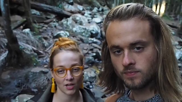 Tamborine Mountain, Australia, 04.07.2020 + bonus смотреть онлайн