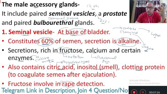 Human Reproduction- Male reproductive system part 4(NEET/12th)