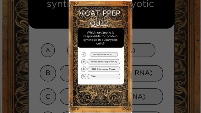 MCAT PREP QUIZ - Eukaryotic Protein Synthesis: Unraveling the Role of Ribosomes