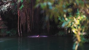 4055925-hd_1920_1080_25fps