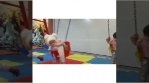 АЛИШЕР НАБИЕВ БАЧАЧОНАМ