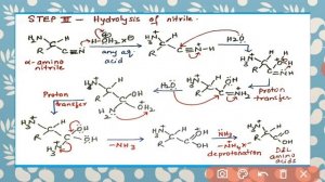 BSc 3rd Strecker Synthesis of amino acids, JAM, NET Dr. Kakuli Chowdhury