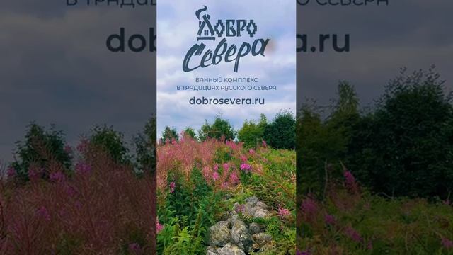 Добро Севера