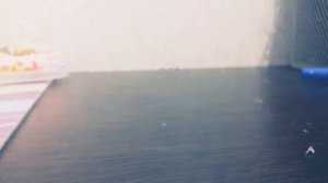 #lps# Мама купи мне лпс 😦😣🐾💲 .