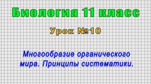 Биология 11 класс (Урок№10 - Многообразие органического мира. Принципы систематики.)