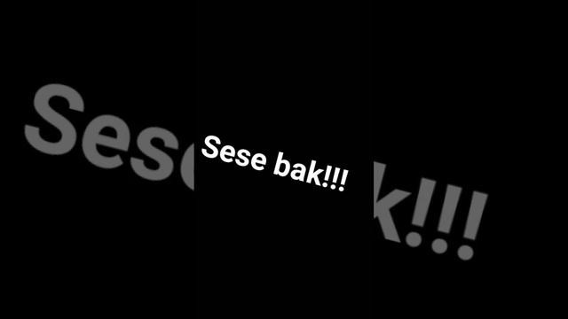 #dance #peri #cat #keşfet SESE BAK!!