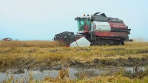 Ростсельмаш Vector 450 Track