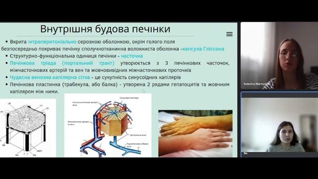 ПЕЧІНКА