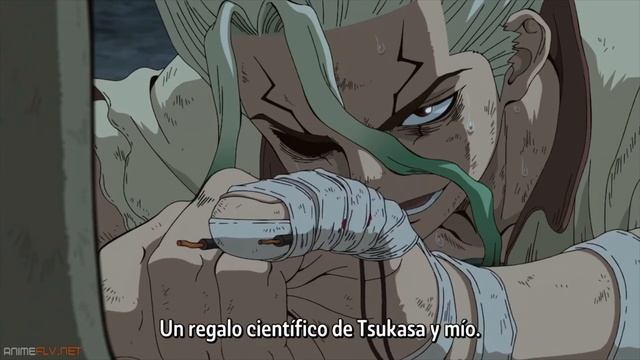 tsukasa y senku vs hyoga
