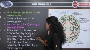 Cell - The Unit of Life | L4 Cell Organelles | Plus One Biology Chapter 8 | NEET 2024 | Ashima Ma'a