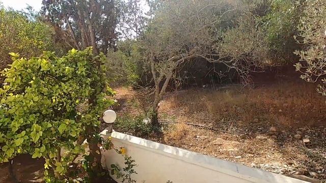 Petrosana Hotel, Ayia Napa Cyprus - A Tour Around смотреть онлайн