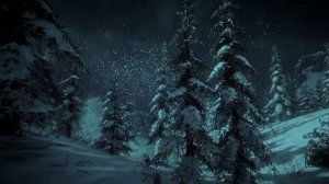 Метель в лесу Атмосфера сильного зимнего ветра в горах