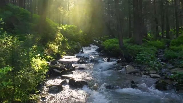КЛАССИЧЕСКАЯ МУЗЫКА ДЛЯ ВОССТАНОВЛЕНИЯ НЕРВНОЙ СИСТЕМЫ🌿 Нежная музыка успокаивает нервную систему 2 смотреть онлайн