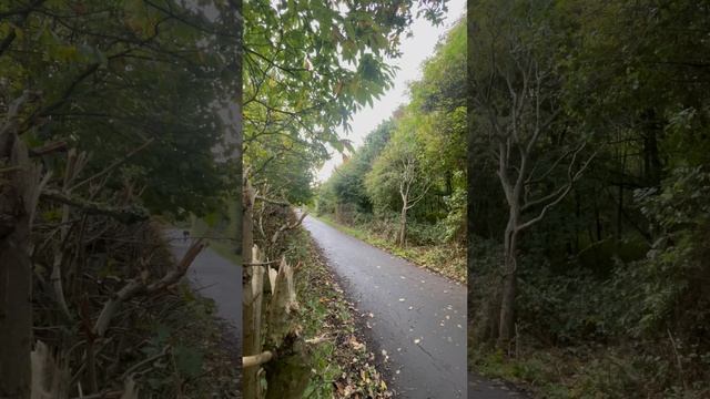 Cannondale synapse full throttle in Temple Newsam Park Leeds UK смотреть онлайн