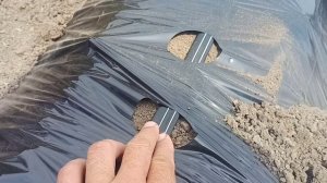 Однорядные бугры для клубники.