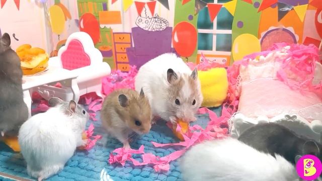 ХОМЯЧКИ ХОМЯЧАТ** ТОП 10 САМЫХ МИЛЫХ КУСЬ НЯМОВ** ВИКИ ЛАКИ