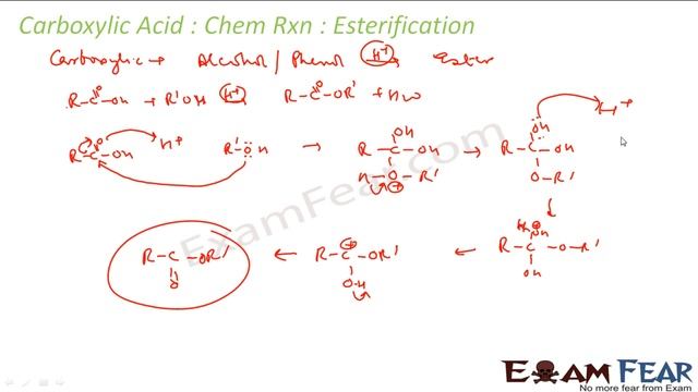 Chemistry carboxylic Acids part 31 (Chemical properties) CBSE class 12 XII