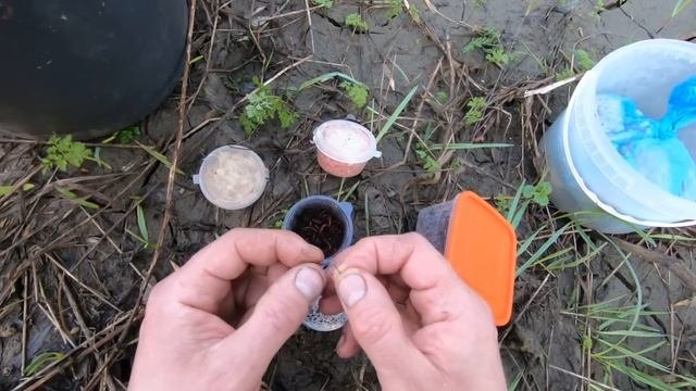 Рыбалка поплавочной удочкой на большой реке