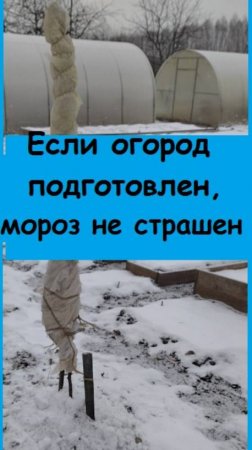 Как начинается зима на огороде, если он правильно подготовлен к морозам и снегопадам?