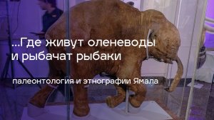 Время мамонтов Долгий сон мамонтенка Любы - открытие выставки и лекция