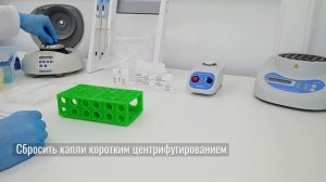 Видеоинструкция Биолабмикс - выделение ДНК из клеток набором D-Cells