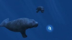 Ocean Rift Education Trailer