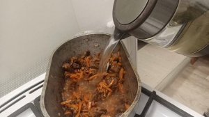 Про мои хлопоты, Мусю, пряжу и новогоднее предчувствие!