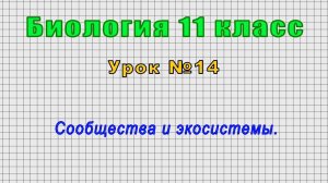 Биология 11 класс (Урок№14 - Сообщества и экосистемы.)