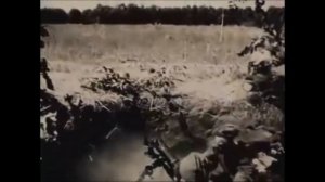 Видео Давай закурим товарищ по одной